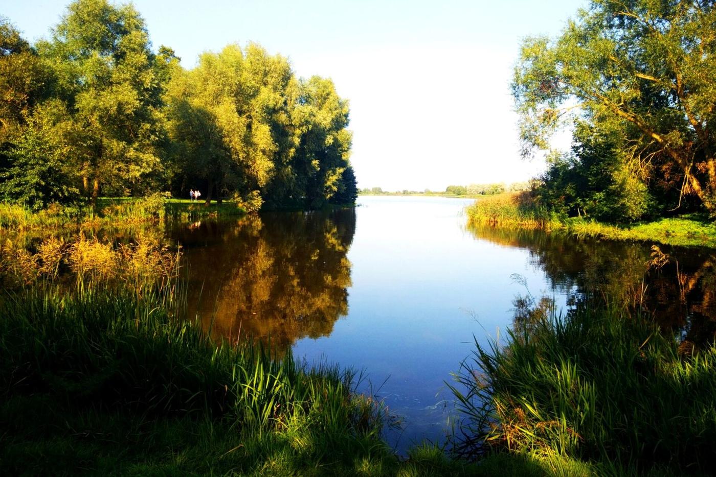 Парк в Несвиже