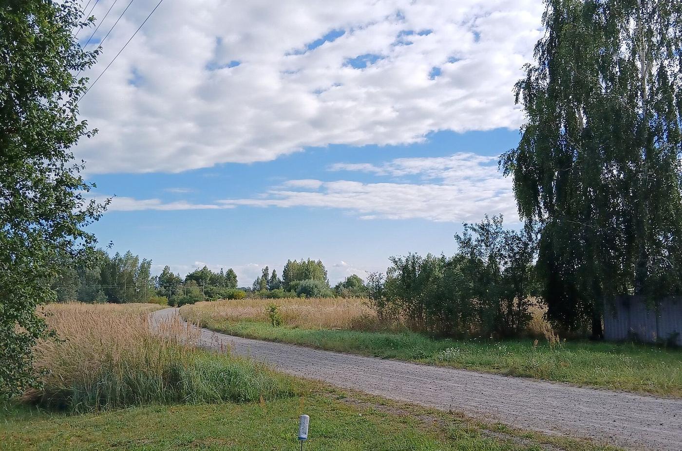 Дорога через поля